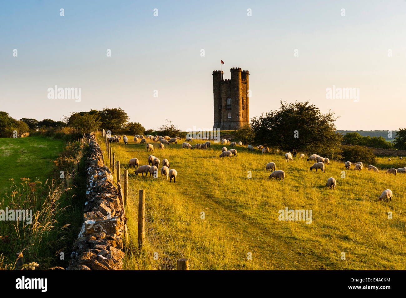 Broadway Tower au coucher du soleil, une propriété du National Trust à Broadway, les Cotswolds, Gloucestershire, Angleterre, Royaume-Uni, Europe Banque D'Images