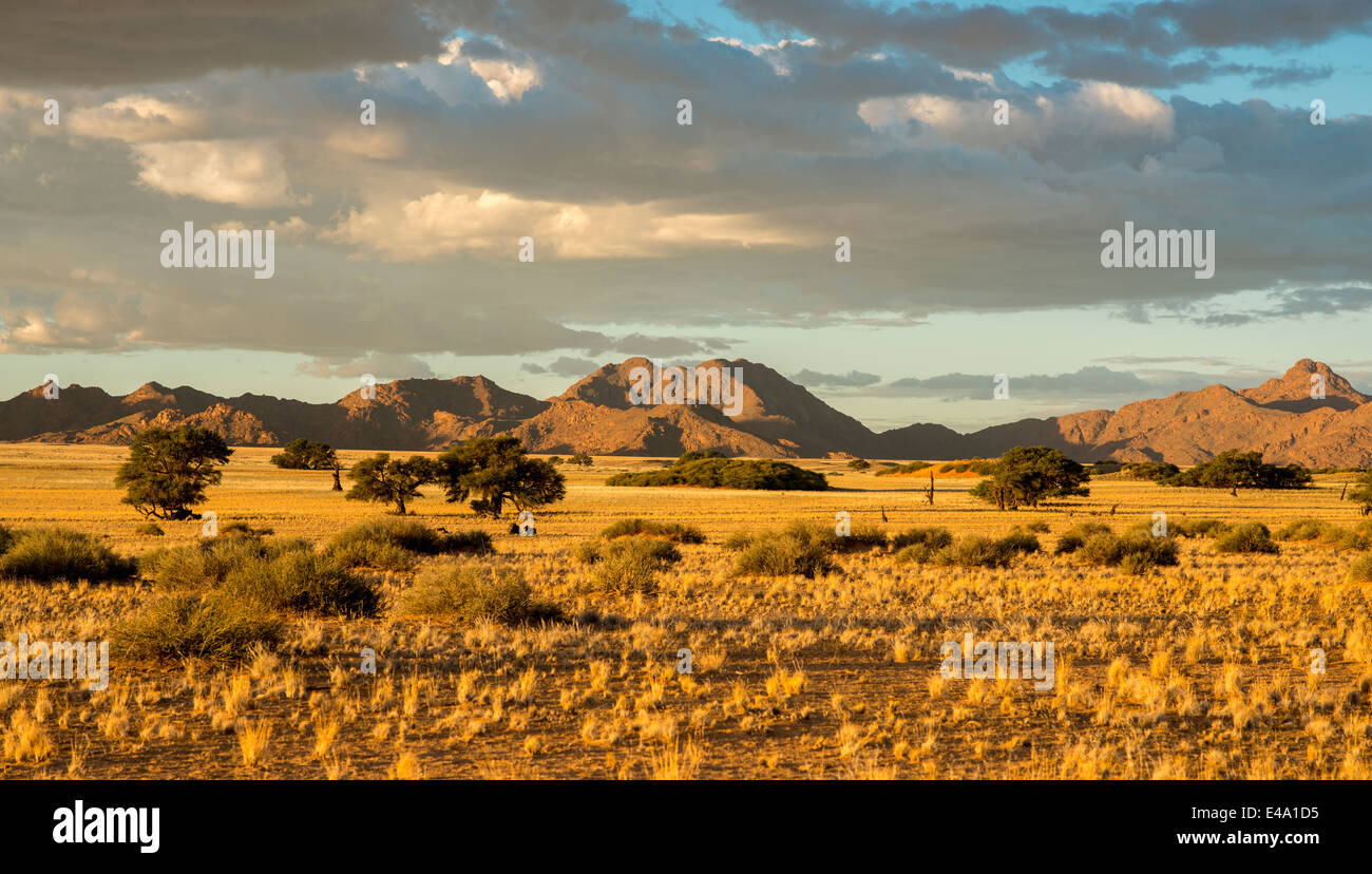 L'Afrique, la Namibie, Sossus Vlei, vue sur paysage avec des montagnes en arrière-plan Banque D'Images