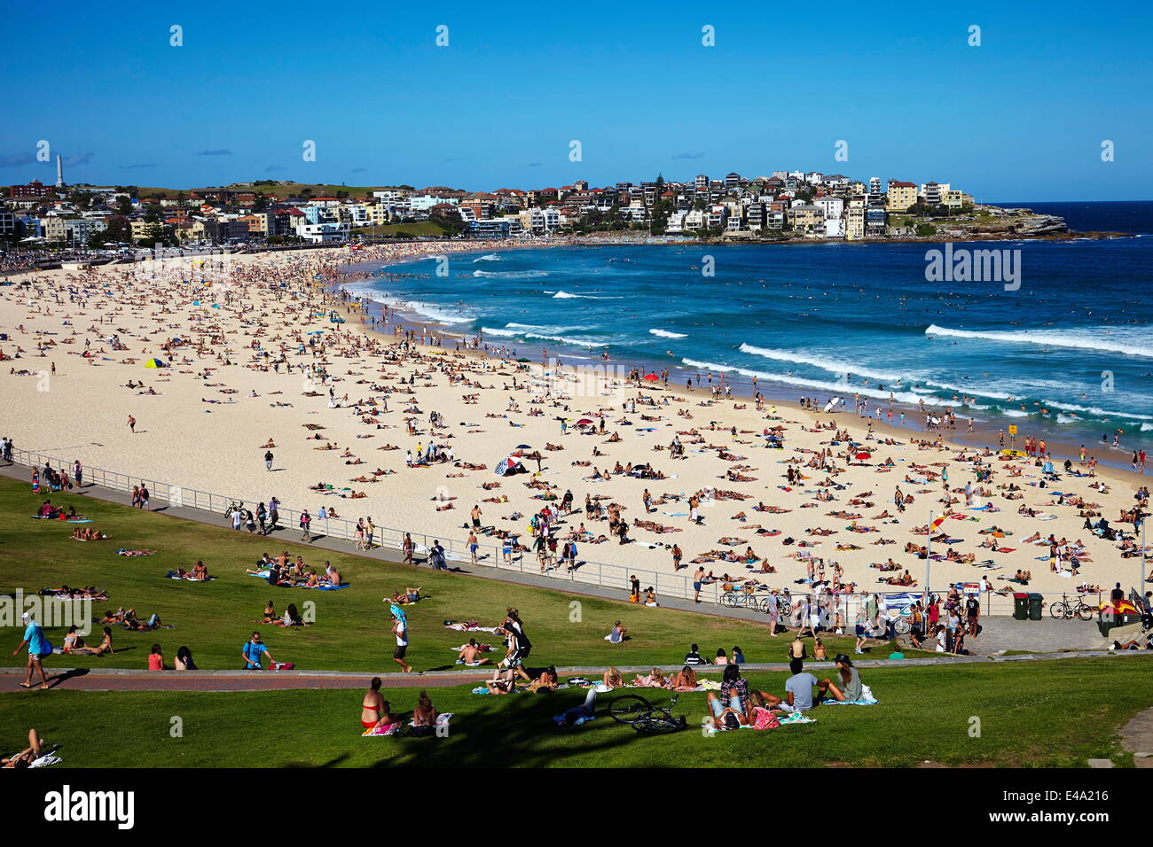 Bondi Beach, Sydney, Nouvelle-Galles du Sud, Australie, Pacifique Banque D'Images