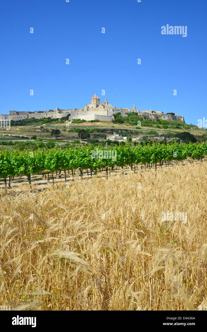 Vue sur la cité médiévale de Mdina (L-Mdina) et de vignes, District de l'Ouest, Malte Majjistral Région, République de Malte Banque D'Images