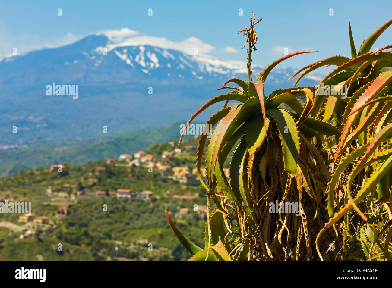 Agave et volcan Etna vu au nord-est de cette ville touristique, Taormina, Catane, Sicile, Italie Province Banque D'Images