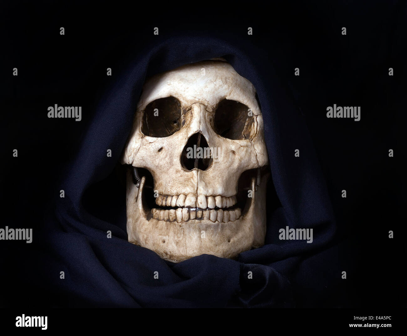 Crâne humain de base photographié à l'intérieur. Banque D'Images