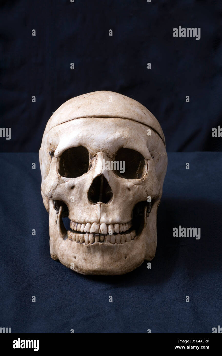 Crâne humain contre un fond tissu noir. Banque D'Images