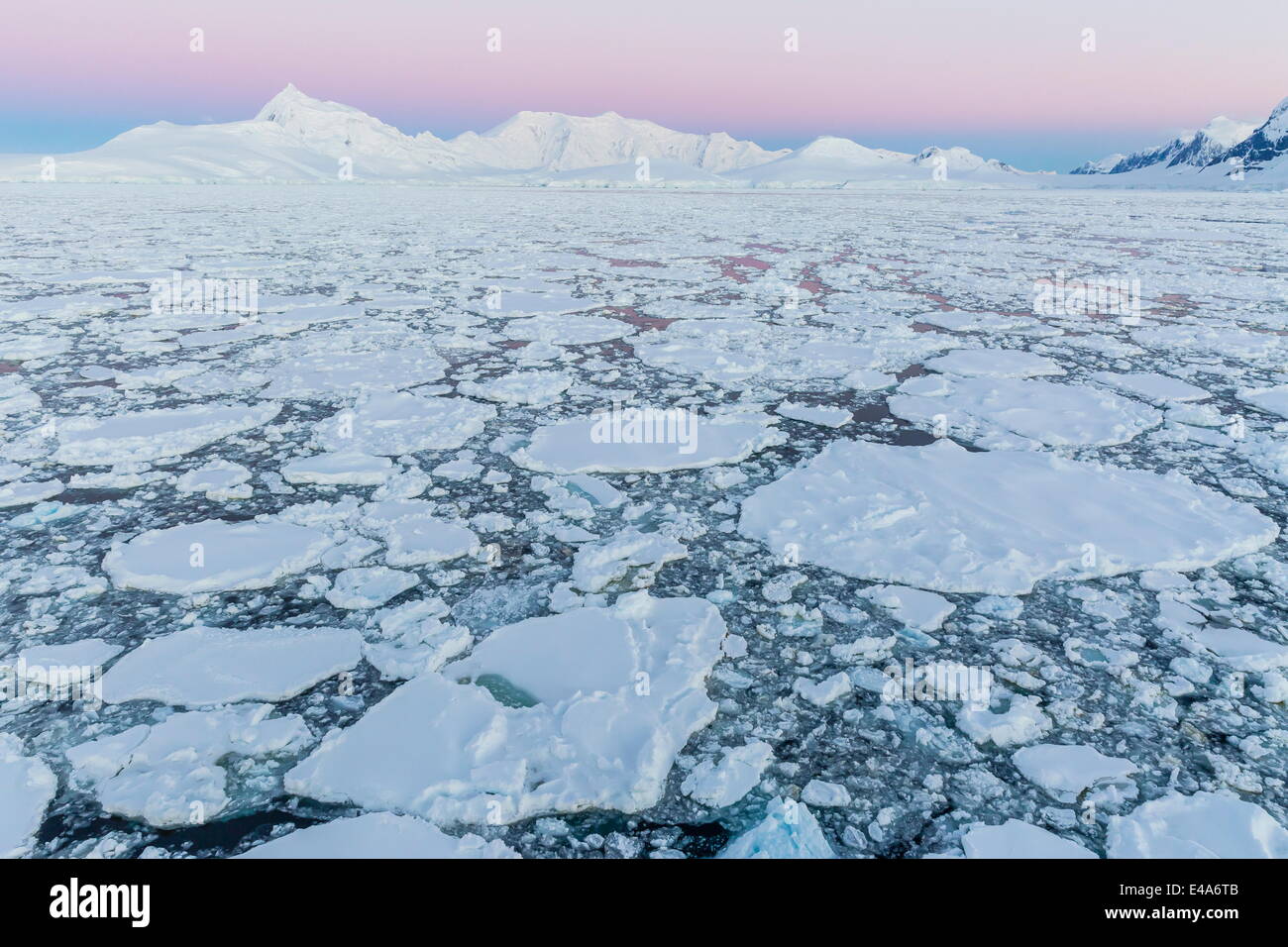 En transit dans le Canal Lemaire lourd en première année, la glace de mer antarctique, régions polaires Banque D'Images