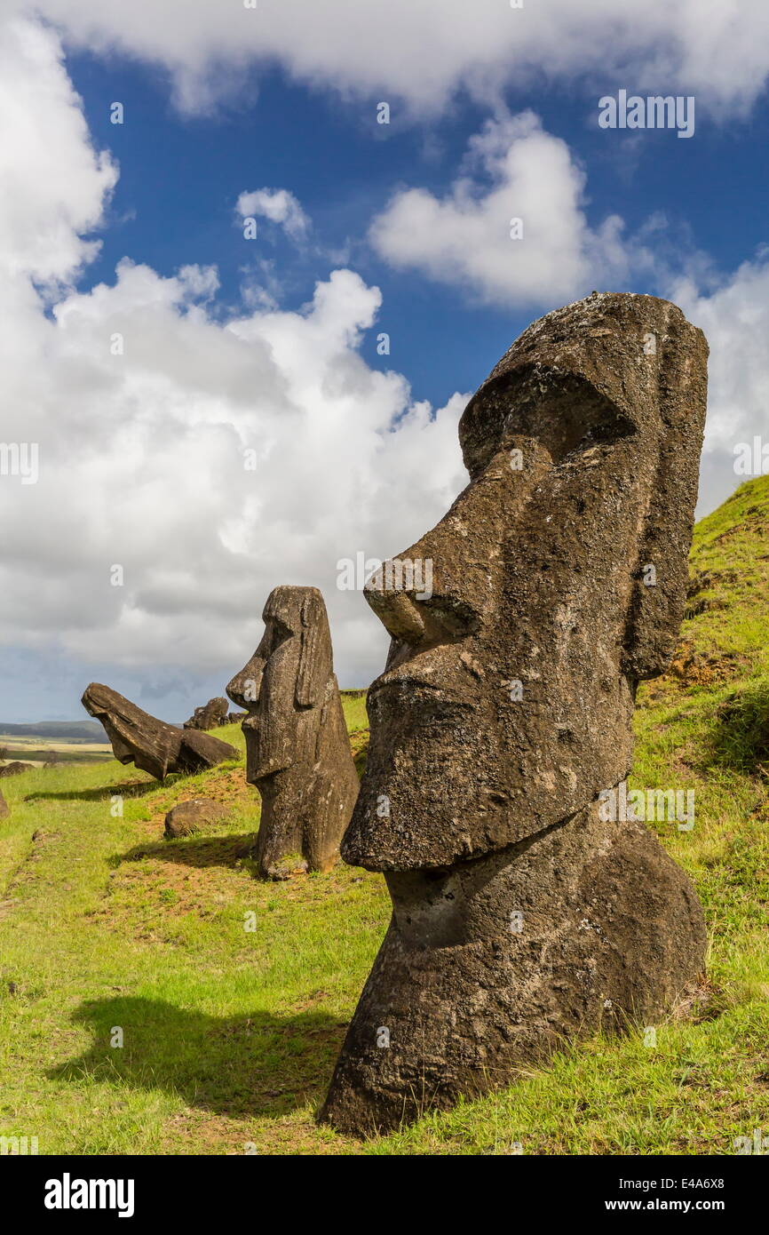 Moai sculptures à diverses étapes de réalisation à Rano Raraku, parc national de Rapa Nui, l'UNESCO, l'île de Pâques, Chili Banque D'Images