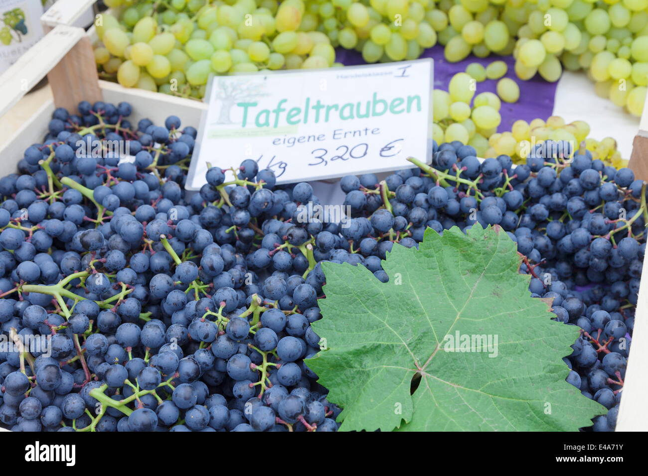 Les raisins pour le vin blanc et bleu at a market stall, marché hebdomadaire, marché, Esslingen, Baden Wurtemberg, Allemagne, Europe Banque D'Images
