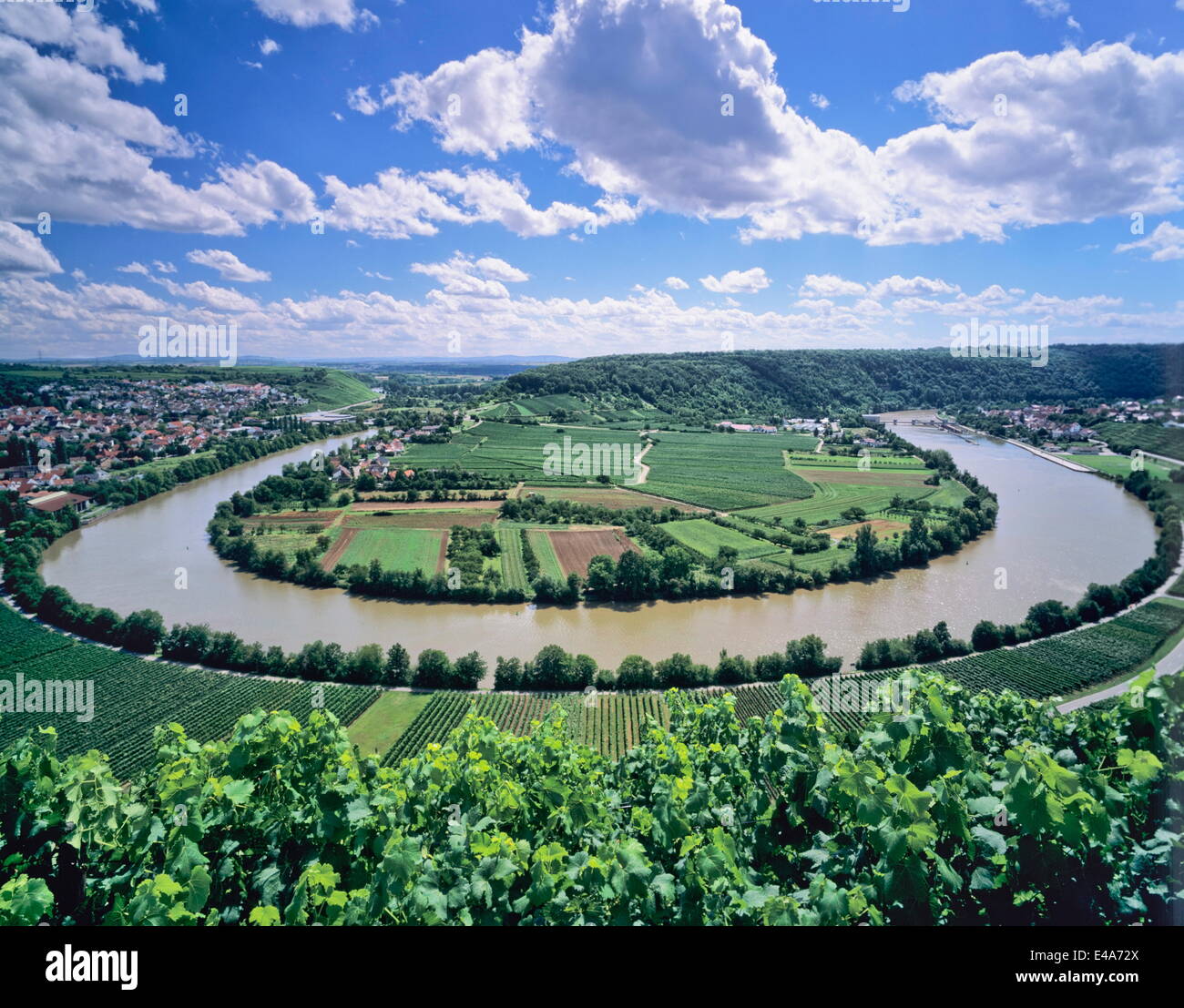 Baie du Neckar, Mundelsheim Baden Wurtemberg, Allemagne, Europe, Banque D'Images