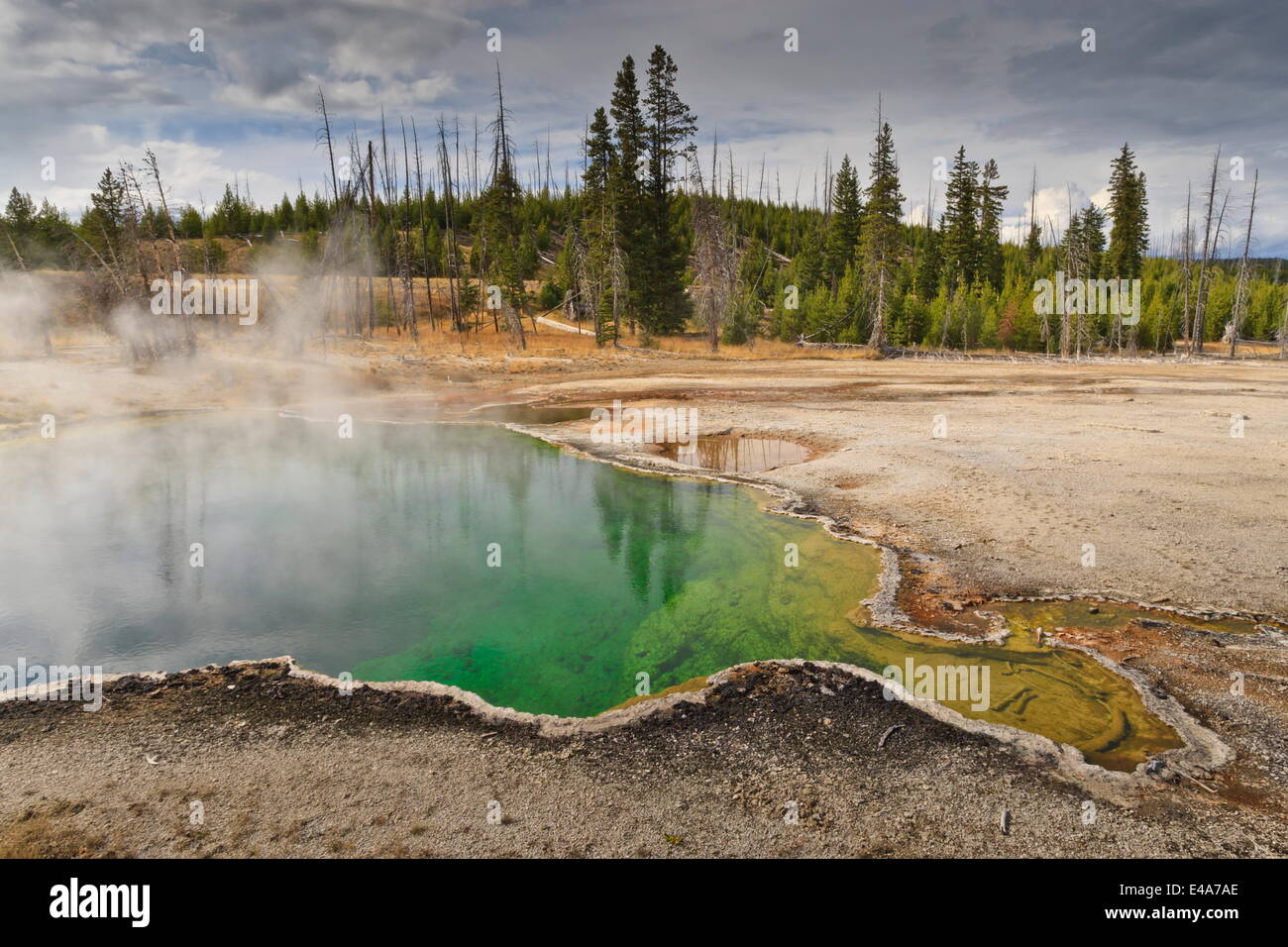 Piscine, un de l'abîme le plus profond du Yellowstone, West Thumb Geyser Basin, l'UNESCO, le Parc National de Yellowstone, Wyoming, USA Banque D'Images