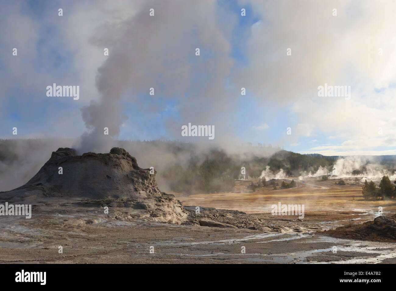Castle Geyser et entoure steamy, Upper Geyser Basin, l'UNESCO, le Parc National de Yellowstone, Wyoming, USA Banque D'Images