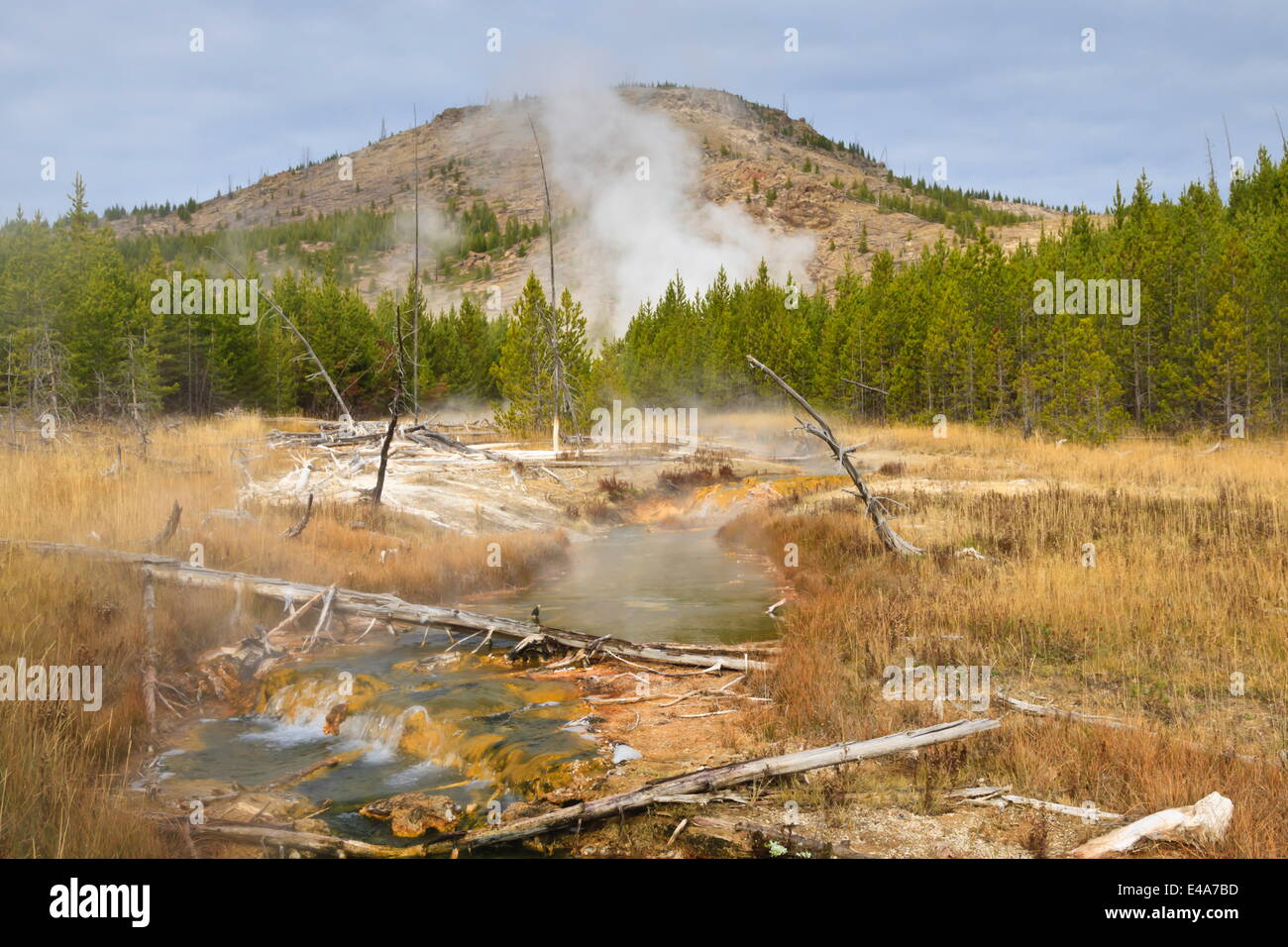 Midway Geyser Basin l'activité thermique de la Fée Creek Trail, l'UNESCO, le Parc National de Yellowstone, Wyoming, USA Banque D'Images