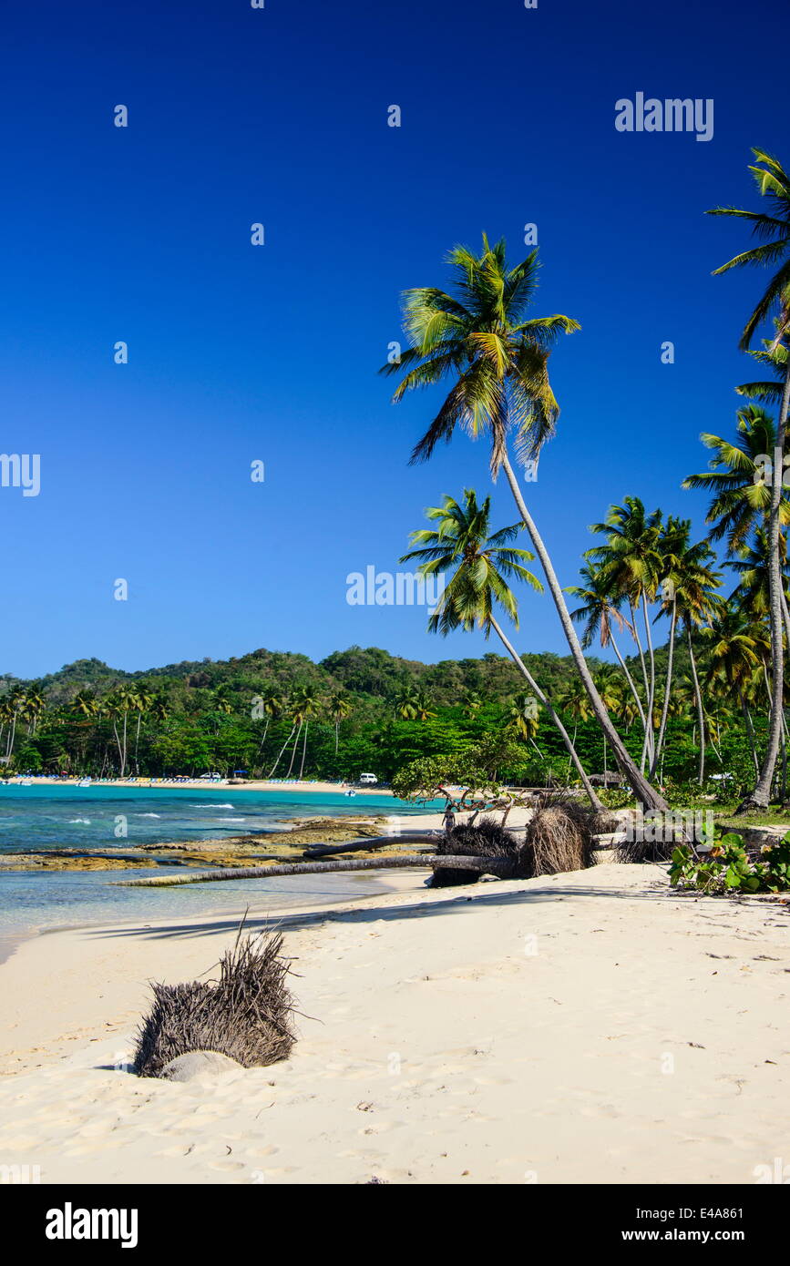Playa Rincon, Las Galeras, Semana péninsule, République dominicaine, Antilles, Caraïbes, Amérique Centrale Banque D'Images