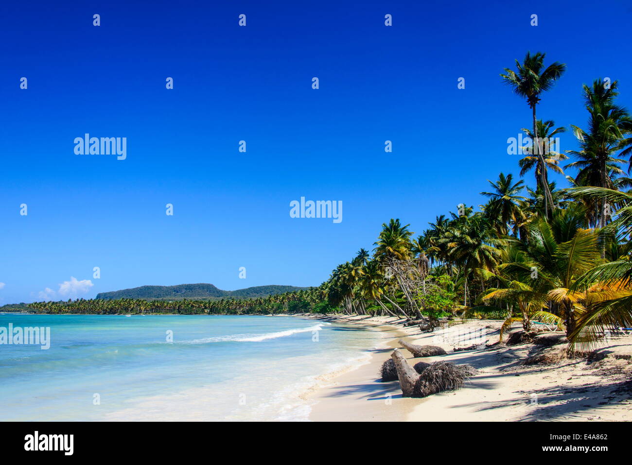 Playa Grande, Las Galeras, Semana péninsule, République dominicaine, Antilles, Caraïbes, Amérique Centrale Banque D'Images