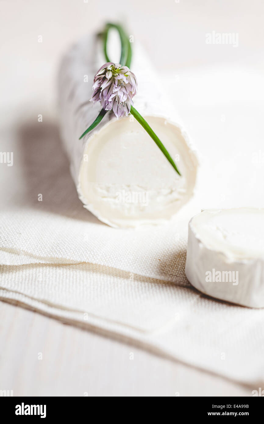 Rouleau de camembert fromage de chèvre avec la ciboulette en fleurs, Allium schoenoprasum Banque D'Images