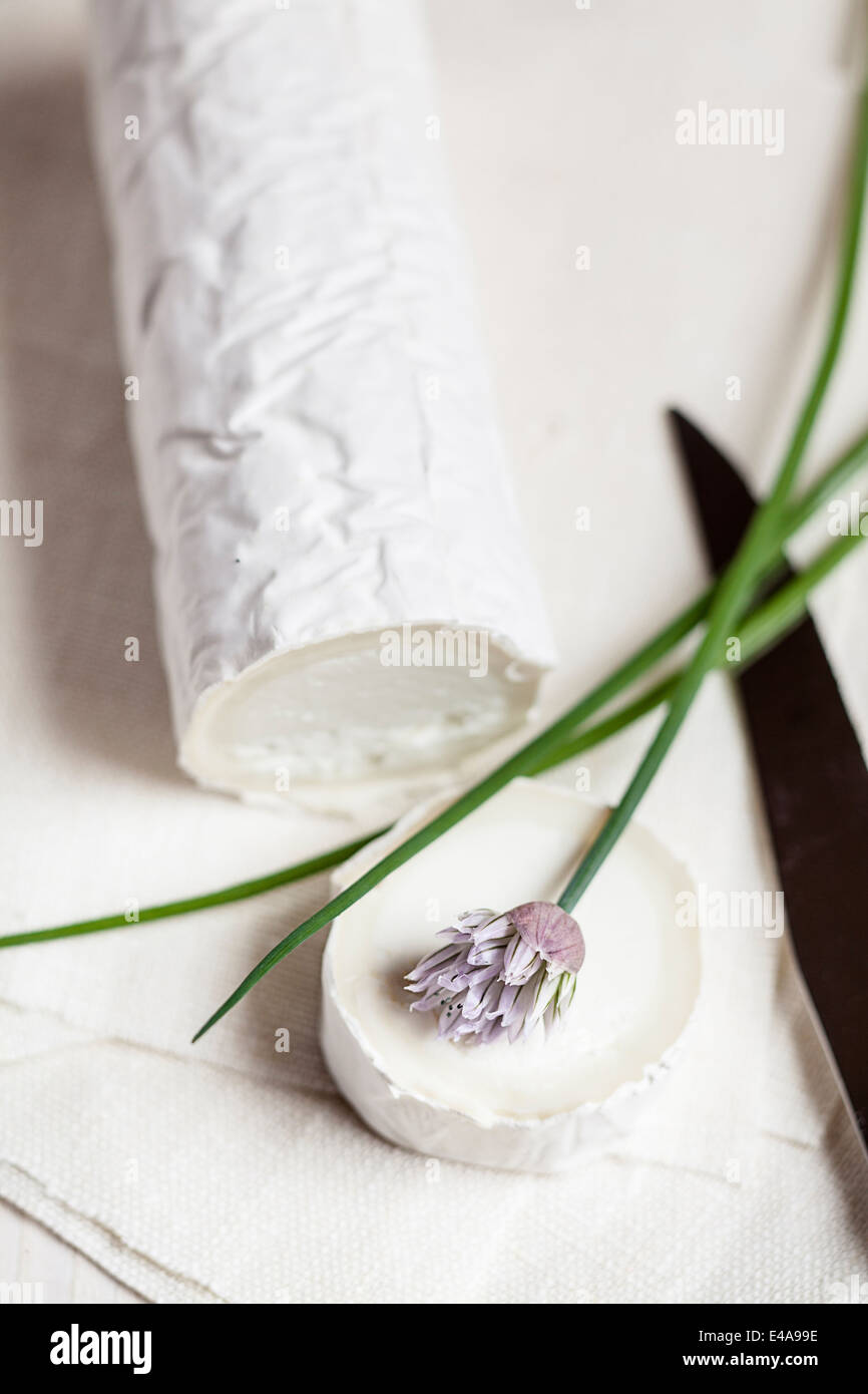 Rouleau de camembert fromage de chèvre avec la ciboulette en fleurs, Allium schoenoprasum Banque D'Images