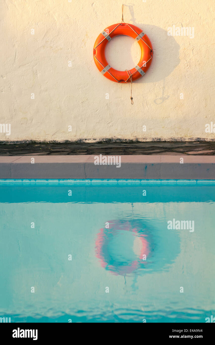 Espagne, Canaries, La Palma, épargnant de vie accroché sur le mur derrière la piscine Banque D'Images