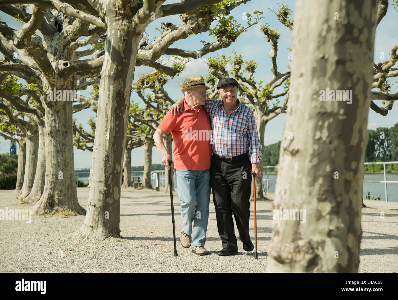 Allemagne, Rhénanie-Palatinat, les vers, les deux vieillards marcher bras dessus bras dessous à la promenade du Rhin Banque D'Images