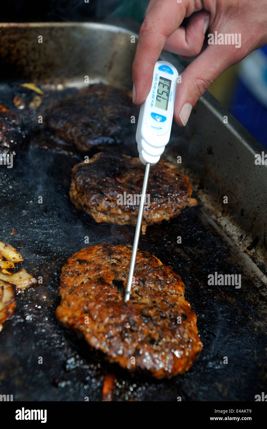 Chef en utilisant un thermomètre à viande, vérifier la température de cuisson des aliments Banque D'Images