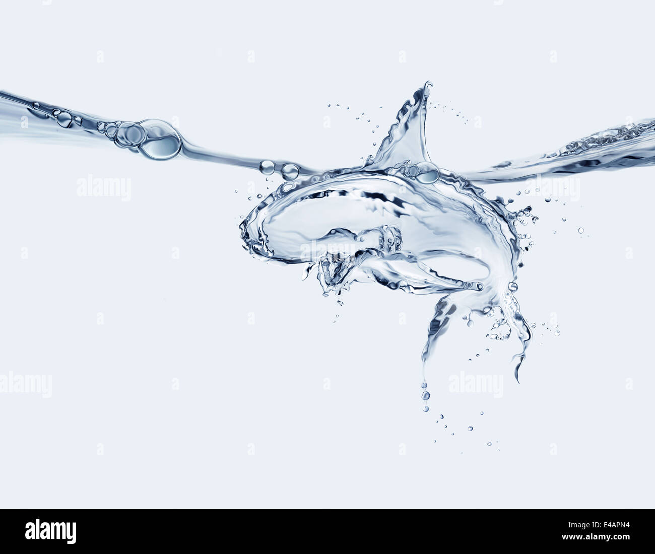 Requin d’eau Banque D'Images