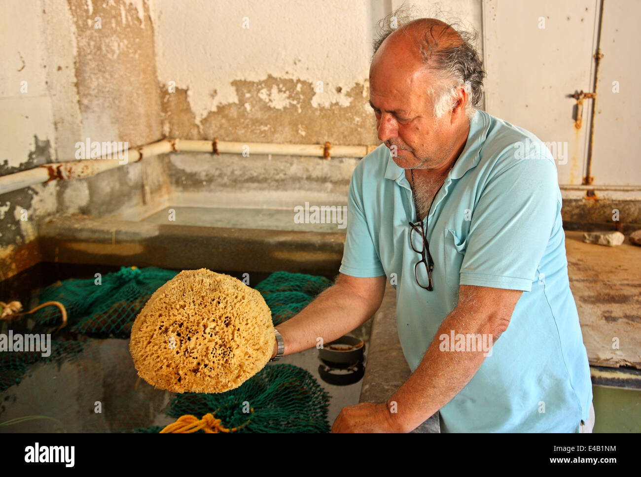 M. Manolis Makryllos, marchand d'éponges de mer naturelle, dans son atelier, à la ville de Pothia, Kalymnos, Dodécanèse, Grèce Banque D'Images
