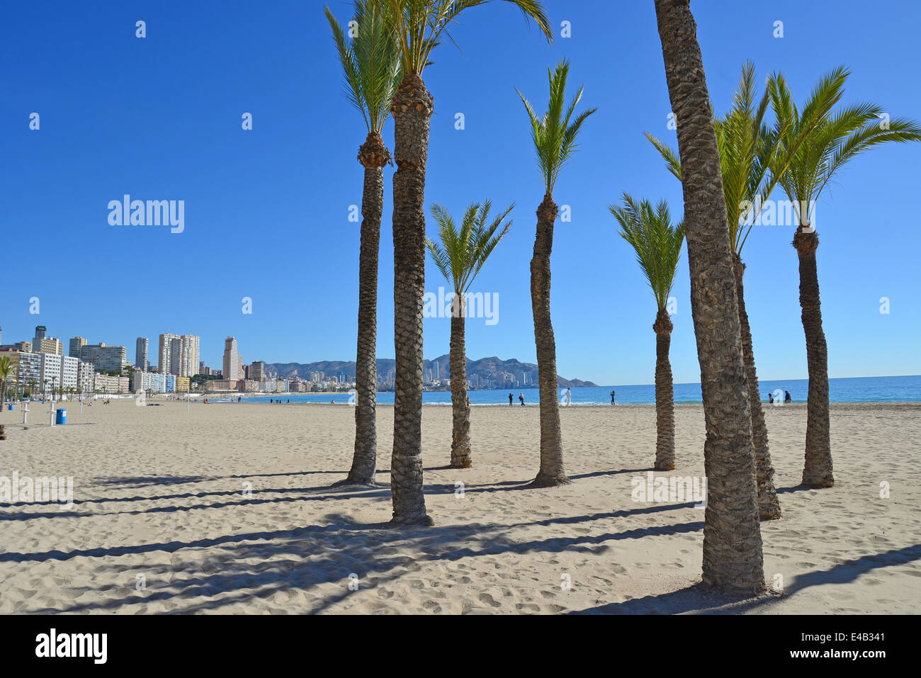 Playa de Poniente, Benidorm, Costa Blanca, Alicante Province, Royaume d'Espagne Banque D'Images
