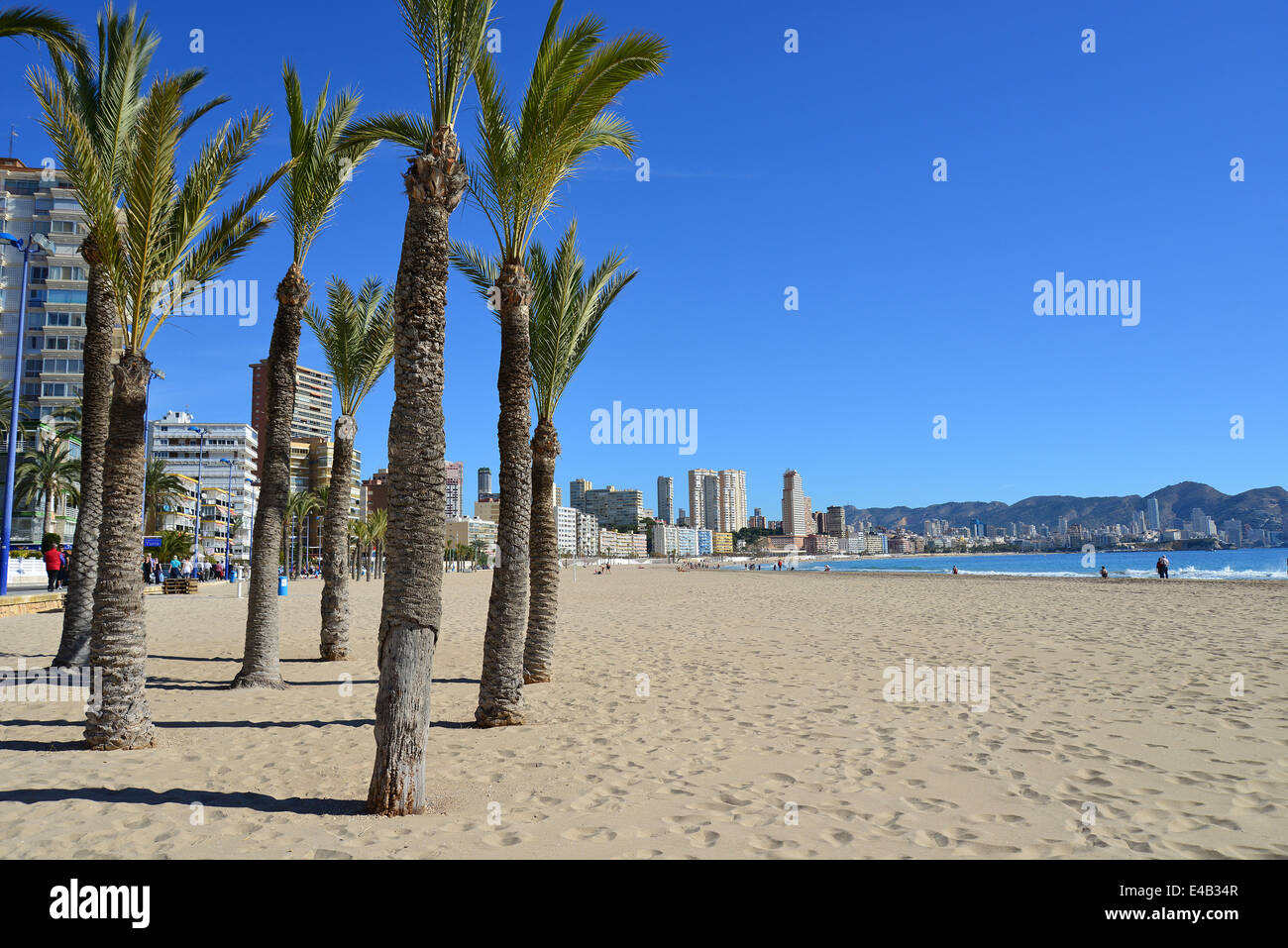 Playa de Poniente, Benidorm, Costa Blanca, Alicante Province, Royaume d'Espagne Banque D'Images