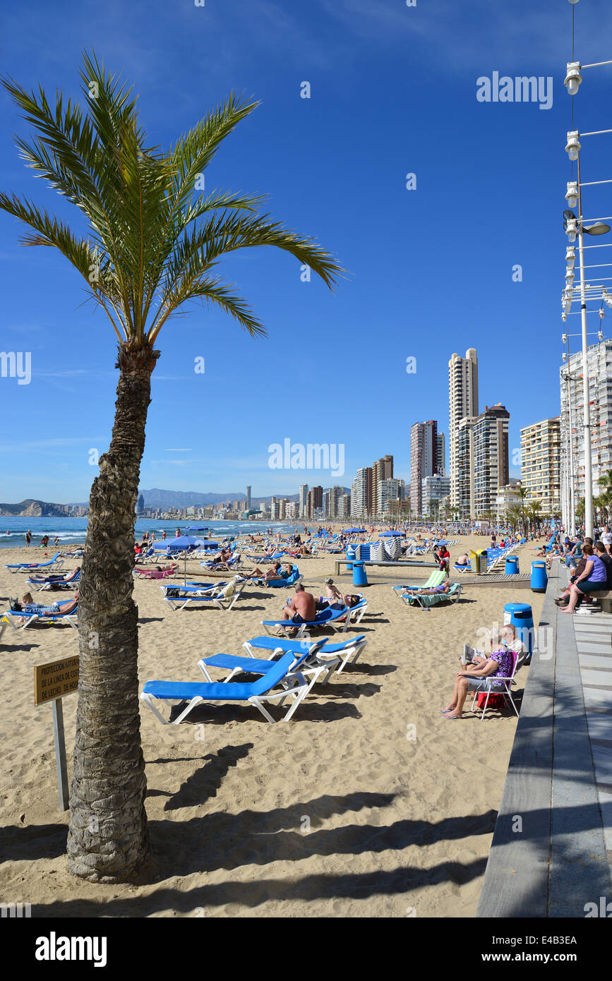 L'esplanade du front de mer, à Playa de Levante, Benidorm, Costa Blanca, Alicante Province, Royaume d'Espagne Banque D'Images