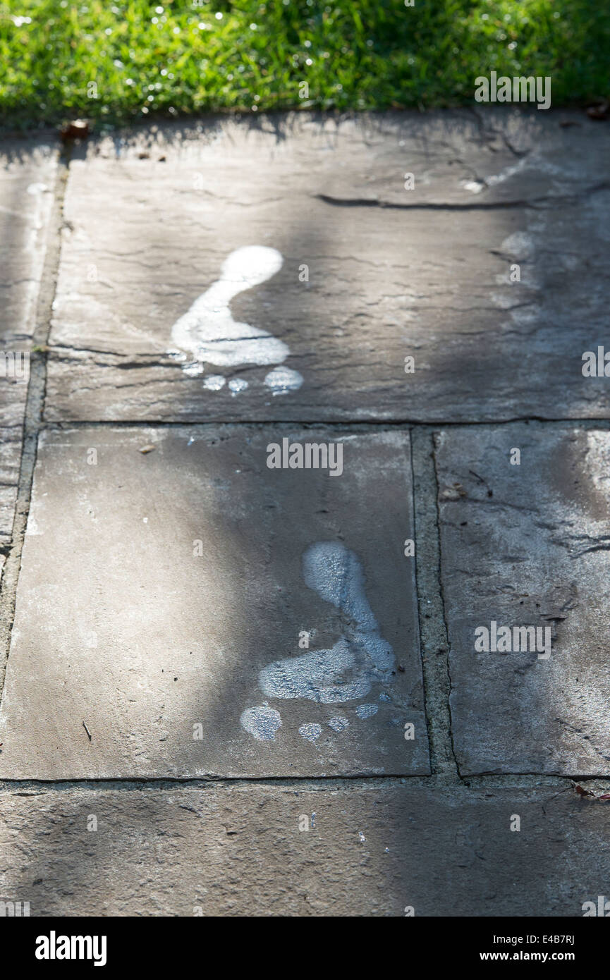 Empreintes humides sur une dalle de pavage de jardin à la lumière du soleil Banque D'Images