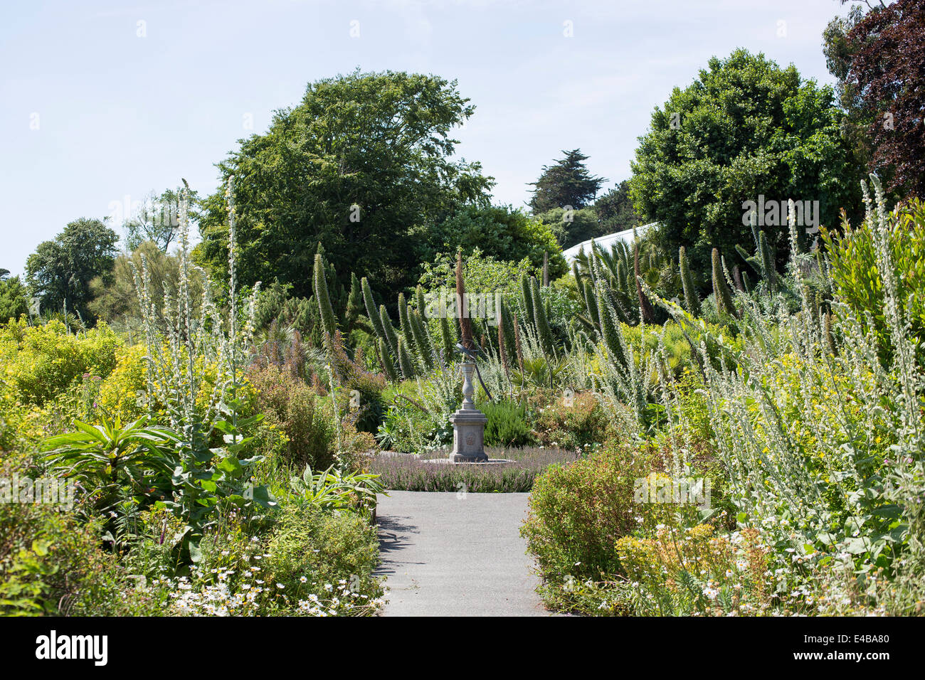 Vue générale du Jardin botanique de Ventnor Ventnor, île de Wight, Angleterre le long d'une journée d'été. Banque D'Images