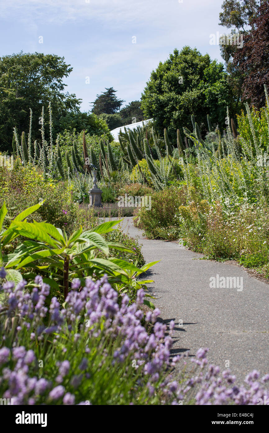 Vue générale du Jardin botanique de Ventnor Ventnor, île de Wight, Angleterre le long d'une journée d'été. Banque D'Images