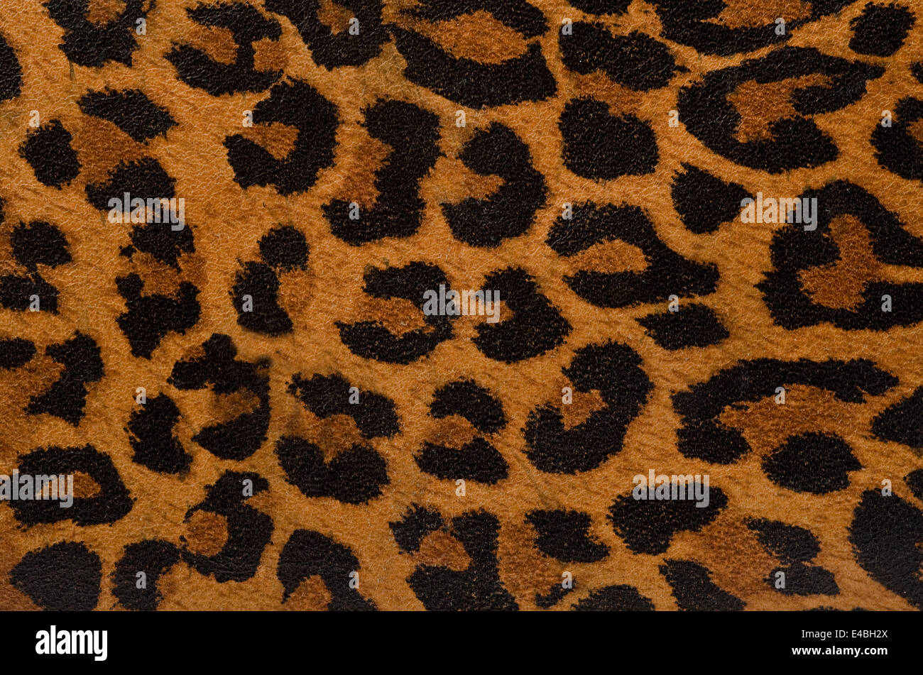 Leopard print pattern Banque D'Images