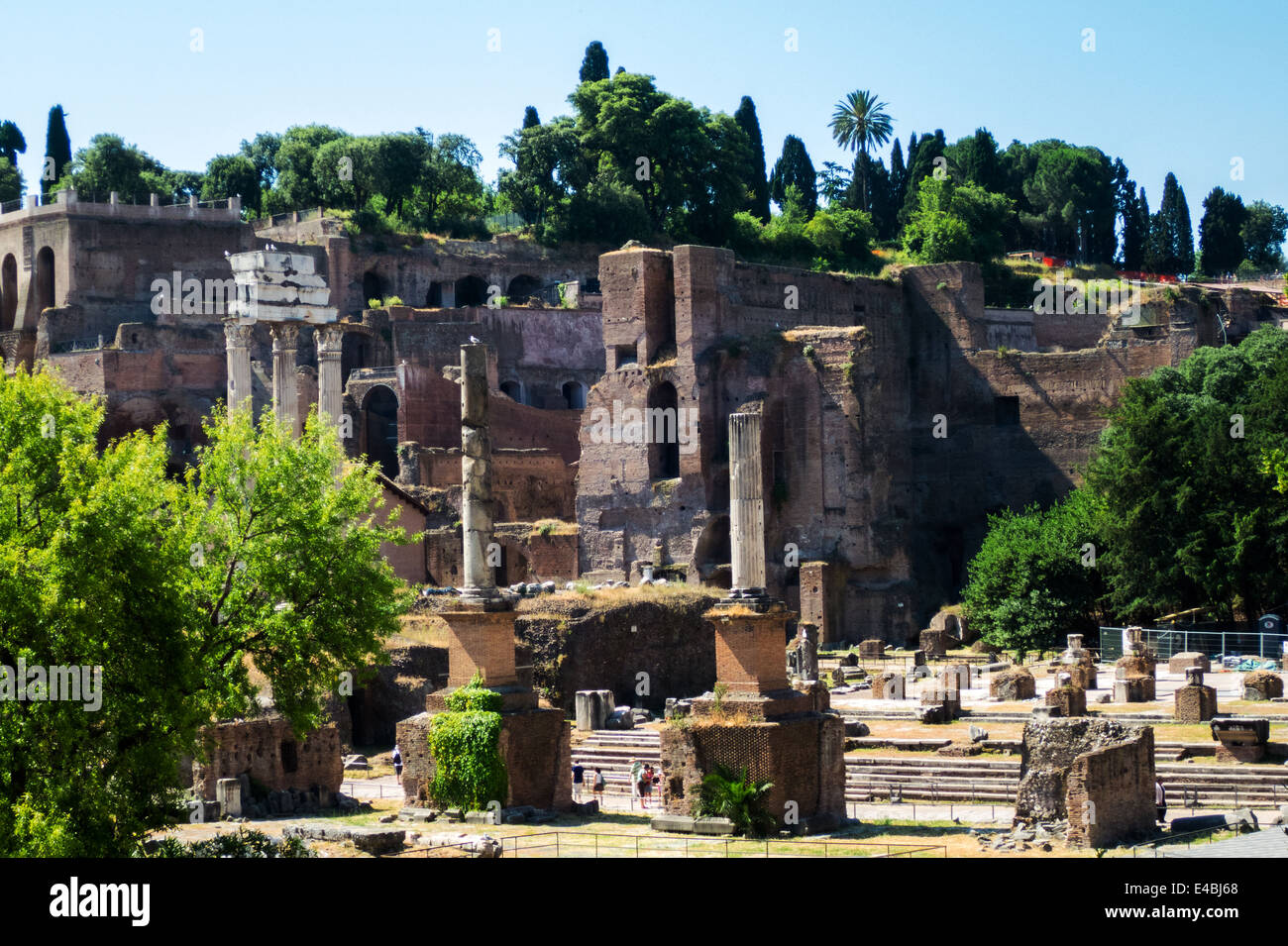 Les ruines du Forum Romain à la recherche vers la colline du Palatin à Rome Banque D'Images