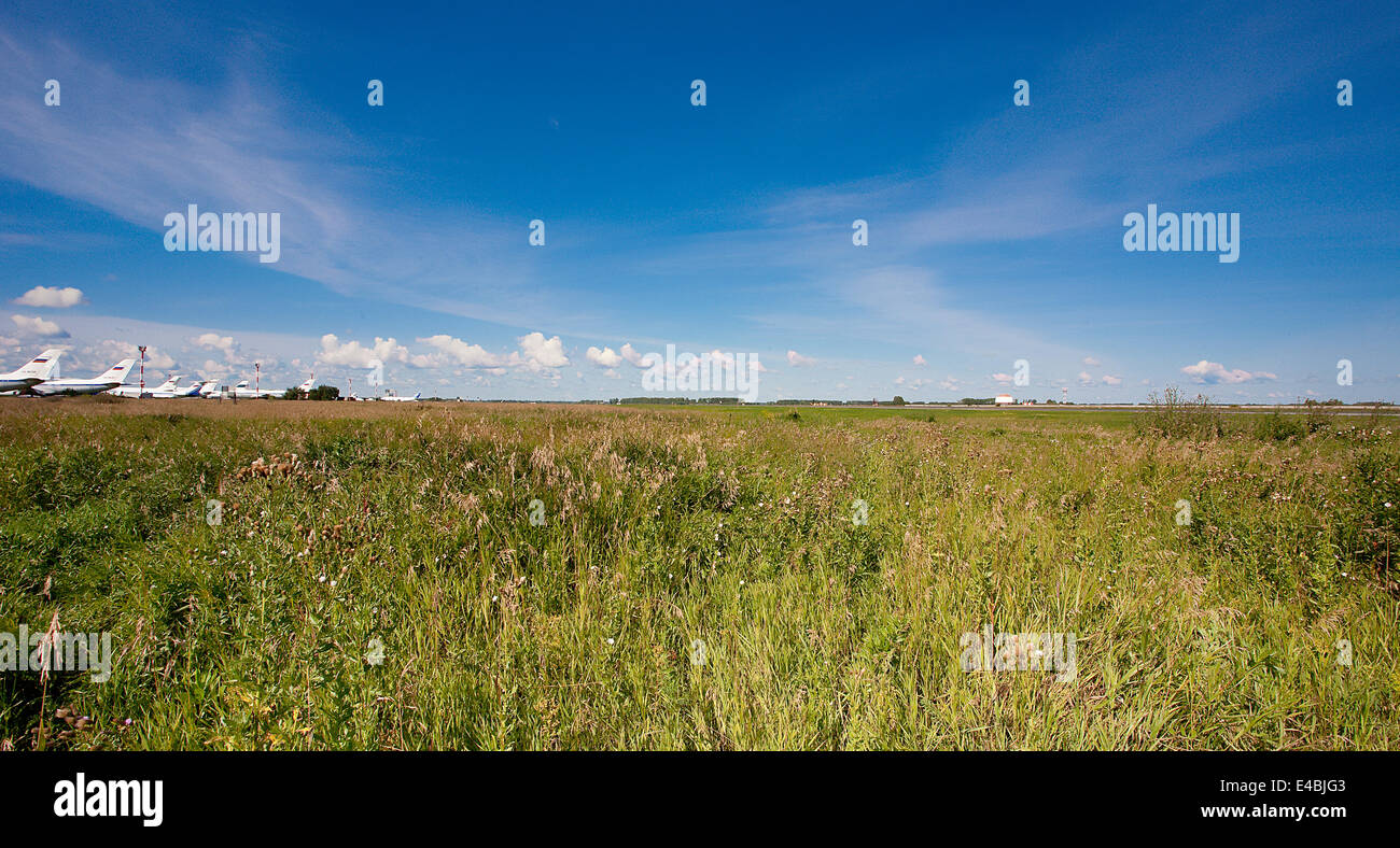Paysage d'été Banque D'Images