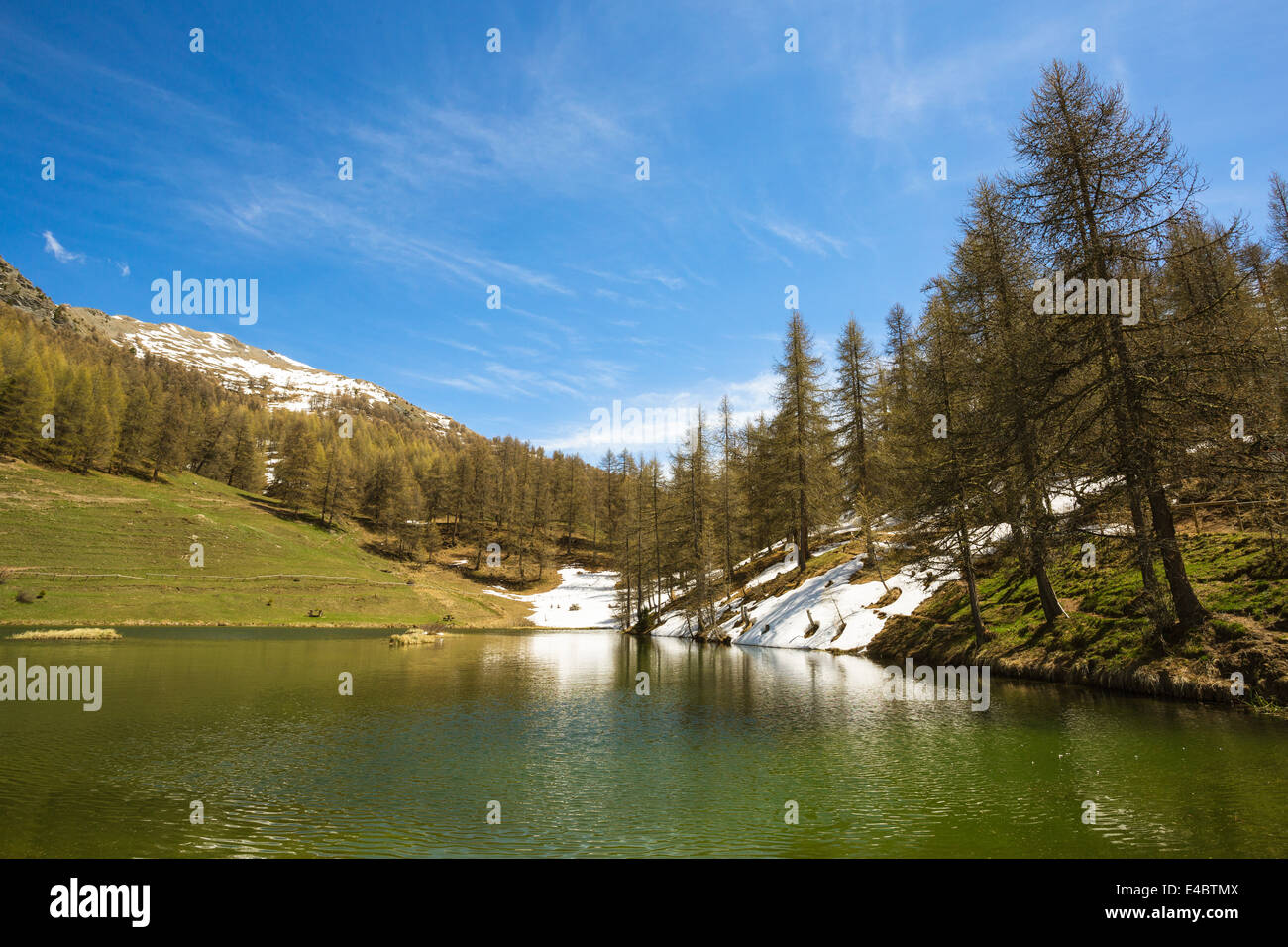 Arbres et lac près de Sauze d'Oulx dans la vallée de Susa, Italie. Banque D'Images