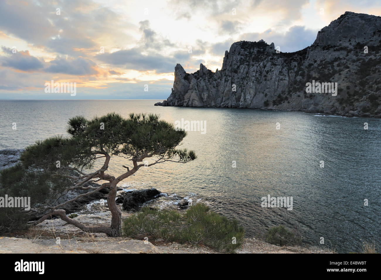 L'arbre de la mer et les montagnes Banque D'Images