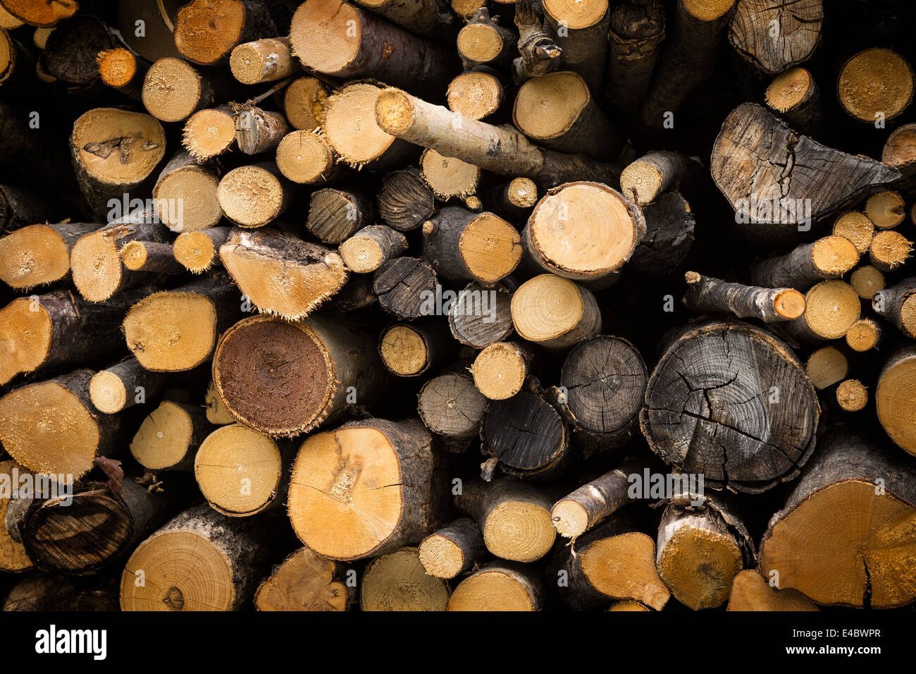 Pile de bois, photographié près de Montecenisio dans la vallée de Suse, en Italie. Banque D'Images