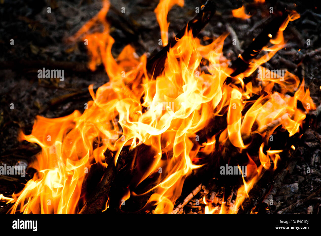 Inferno fiore - flammes de l'enfer Banque D'Images