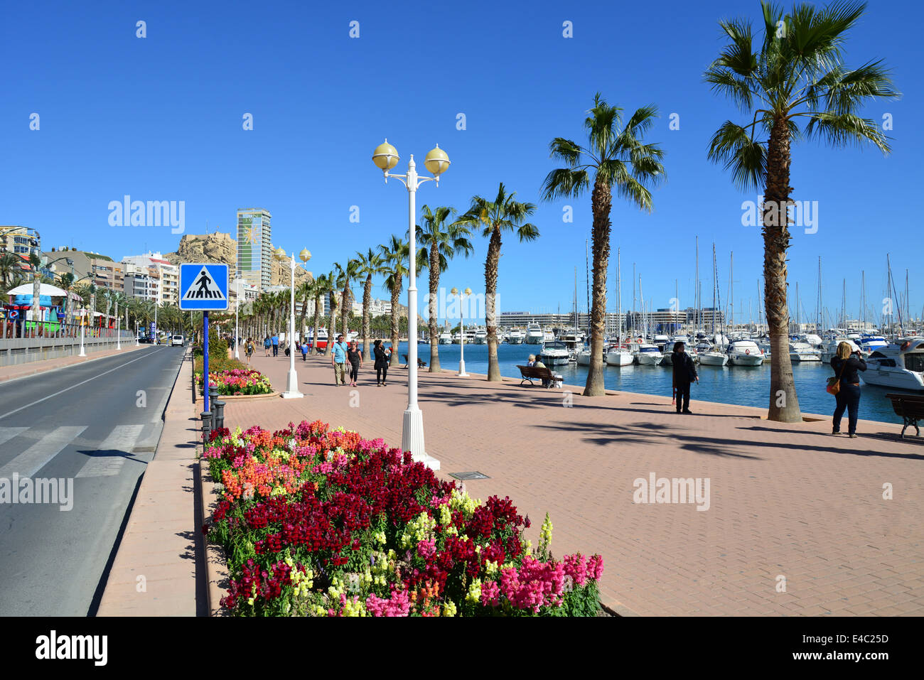 L'esplanade du front de mer, Port d'Alicante, Alicante, Costa Blanca, Alicante Province, Royaume d'Espagne Banque D'Images