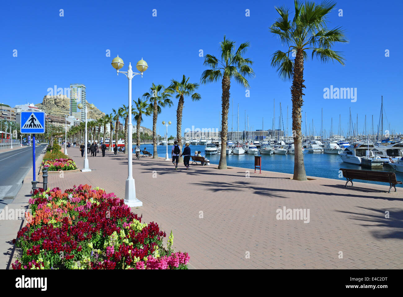 L'esplanade du front de mer, Port d'Alicante, Alicante, Costa Blanca, Alicante Province, Royaume d'Espagne Banque D'Images