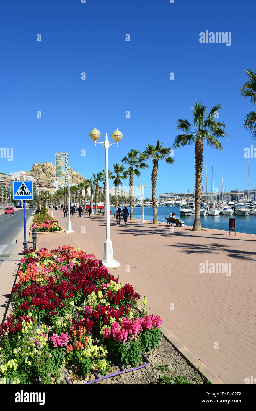 L'esplanade du front de mer, Port d'Alicante, Alicante, Costa Blanca, Alicante Province, Royaume d'Espagne Banque D'Images