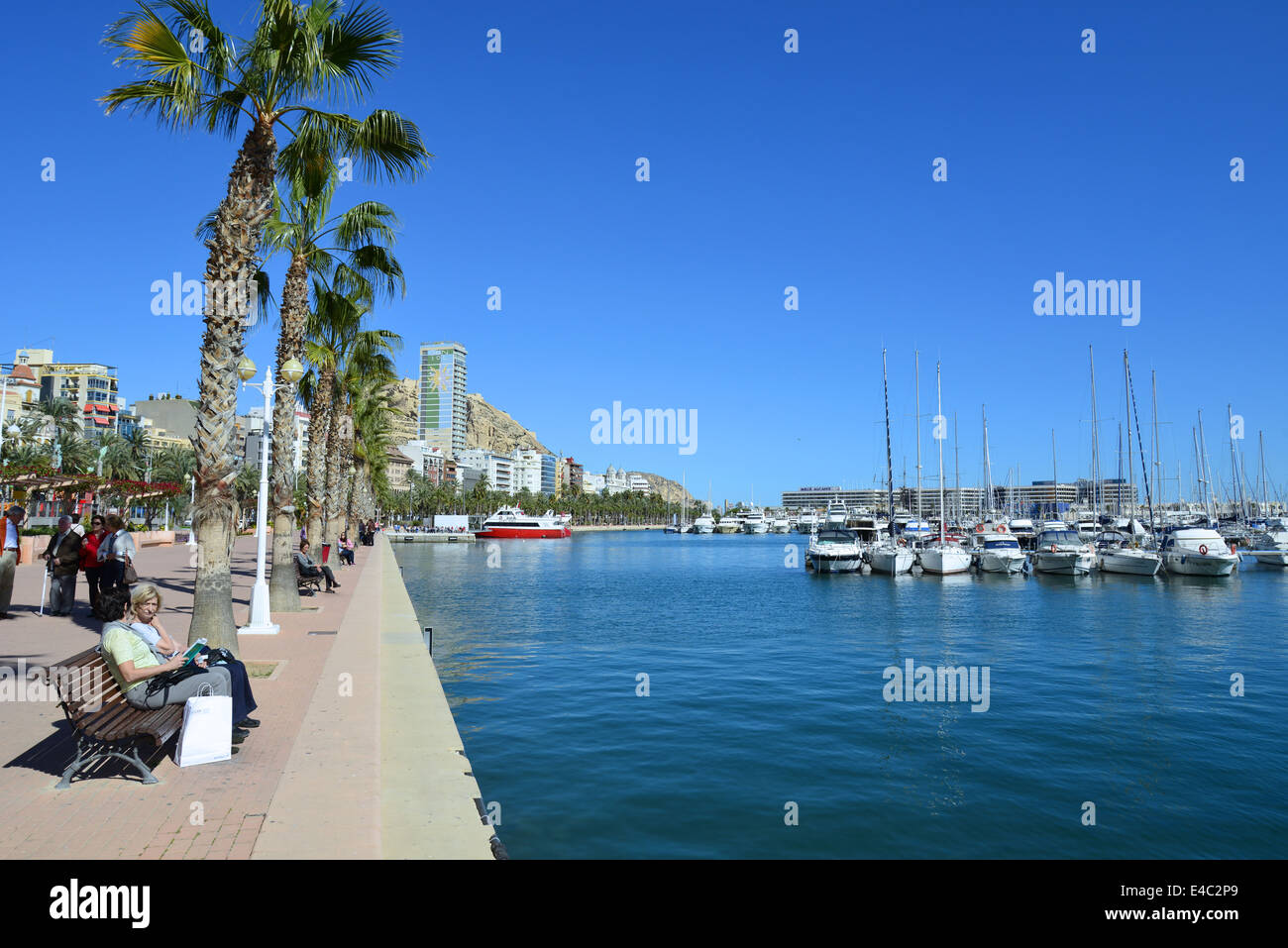 L'esplanade du front de mer, Port d'Alicante, Alicante, Costa Blanca, Alicante Province, Royaume d'Espagne Banque D'Images