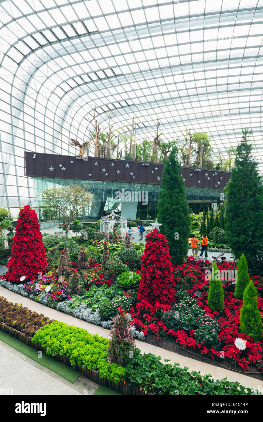 L'Asie du Sud, de Singapour, de jardins par la baie, jardins botaniques Jardin de fleurs Banque D'Images