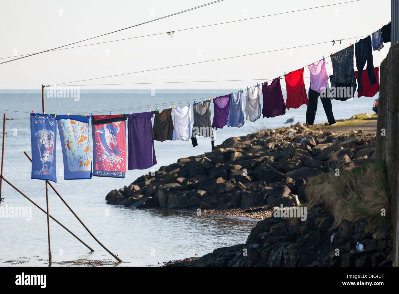 Linge sur la ligne Montrose Angus Scotland Royaume-Uni Banque D'Images