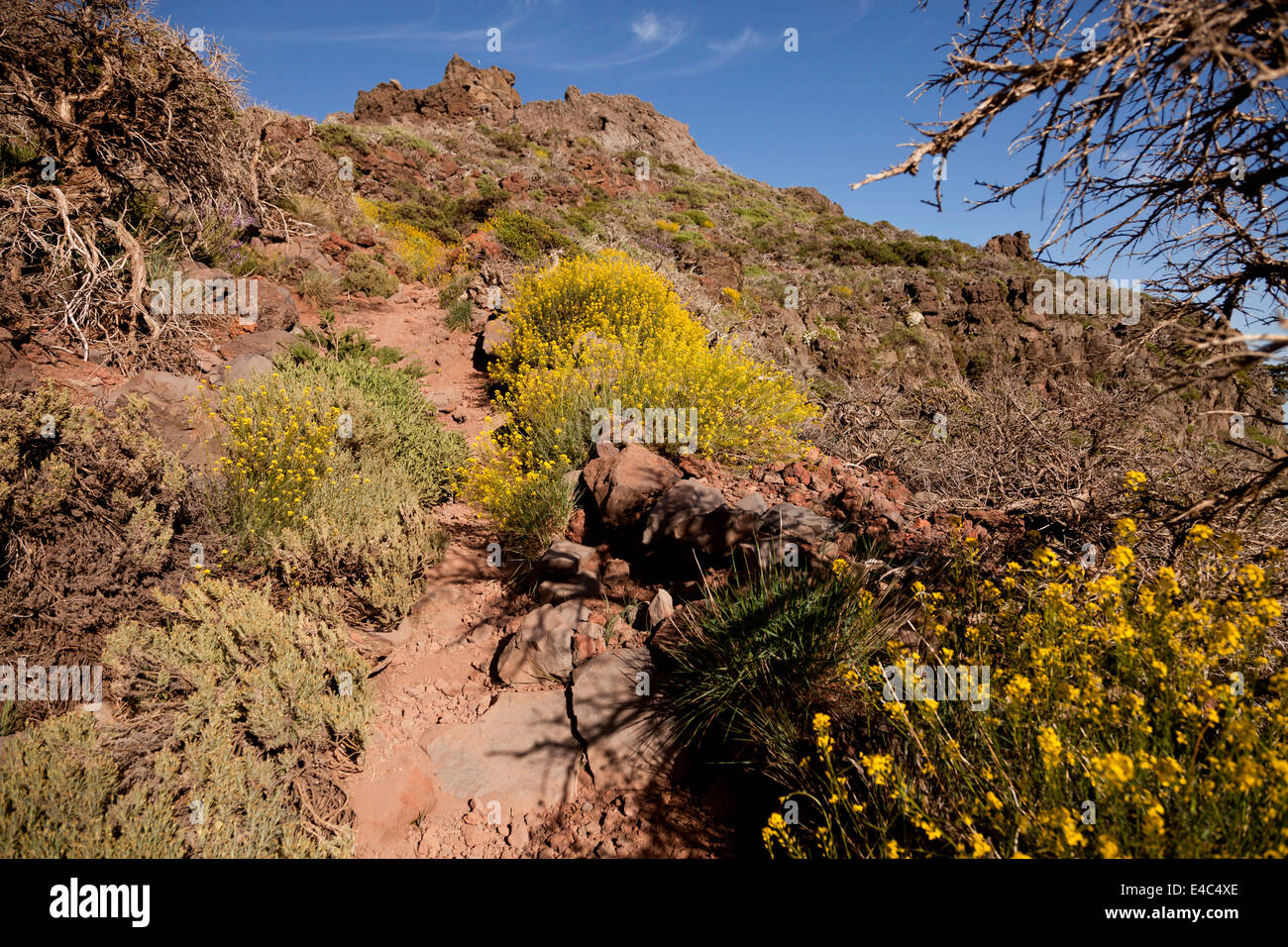 Sentier de randonnée dans le cratère volcanoe près de la Roque de los Muchachos, Caldera de Taburiente National Park, La Palma, Canary Island Banque D'Images