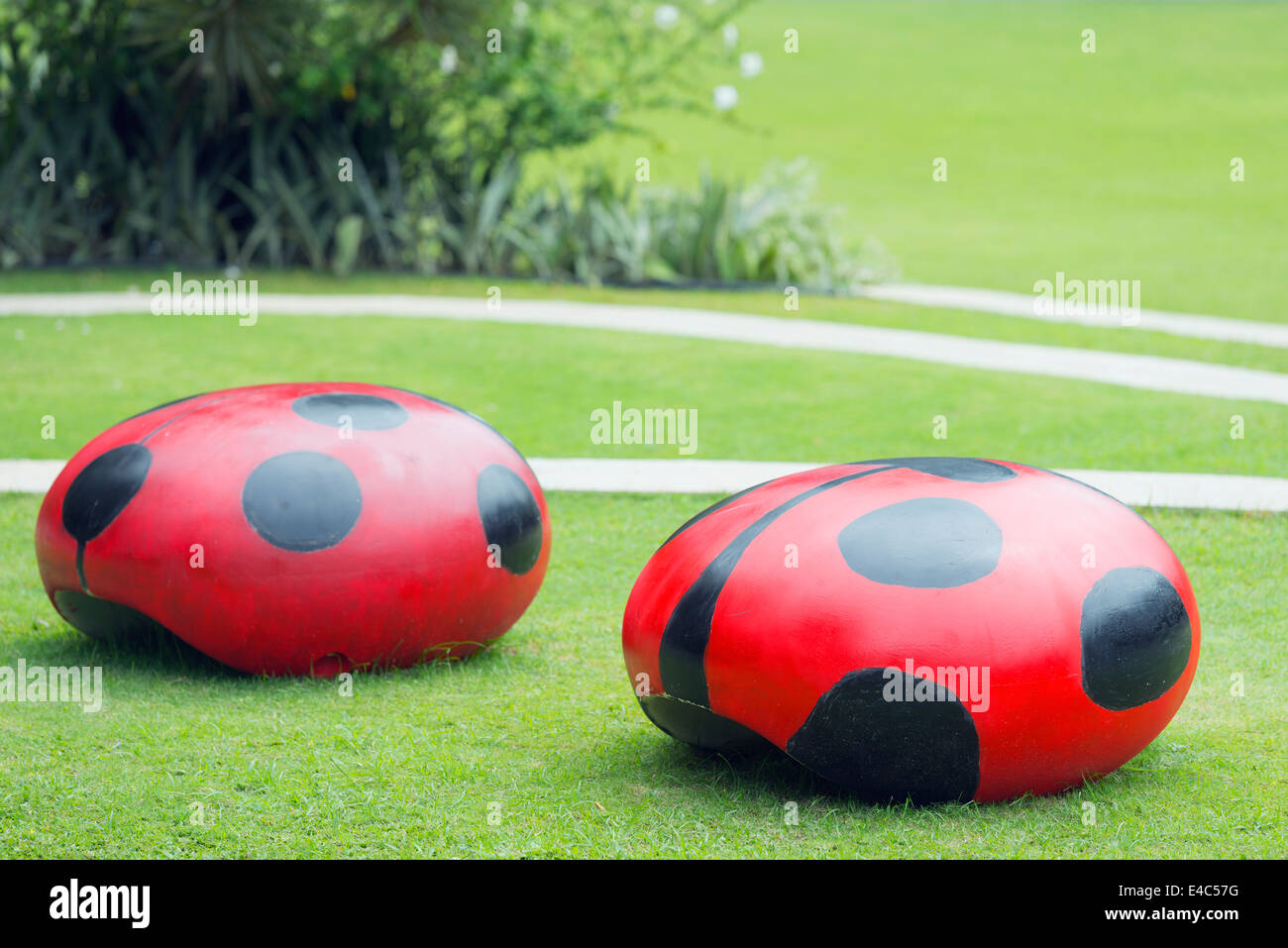 L'Asie du Sud, de Singapour, du sud des crêtes, des sièges lady bird Banque D'Images