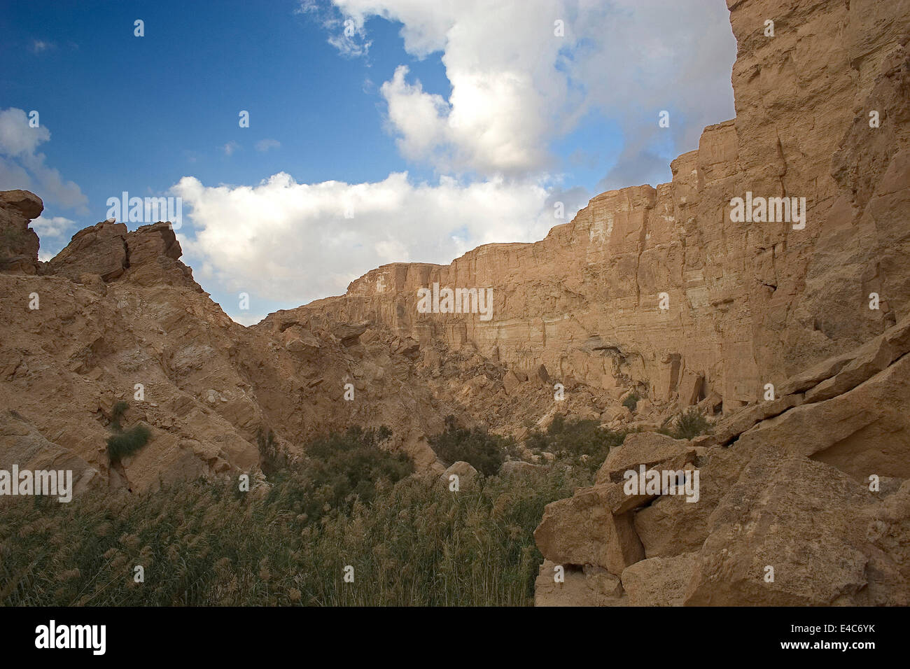 Chebika Oasis, Tozeur, Tunisie Banque D'Images
