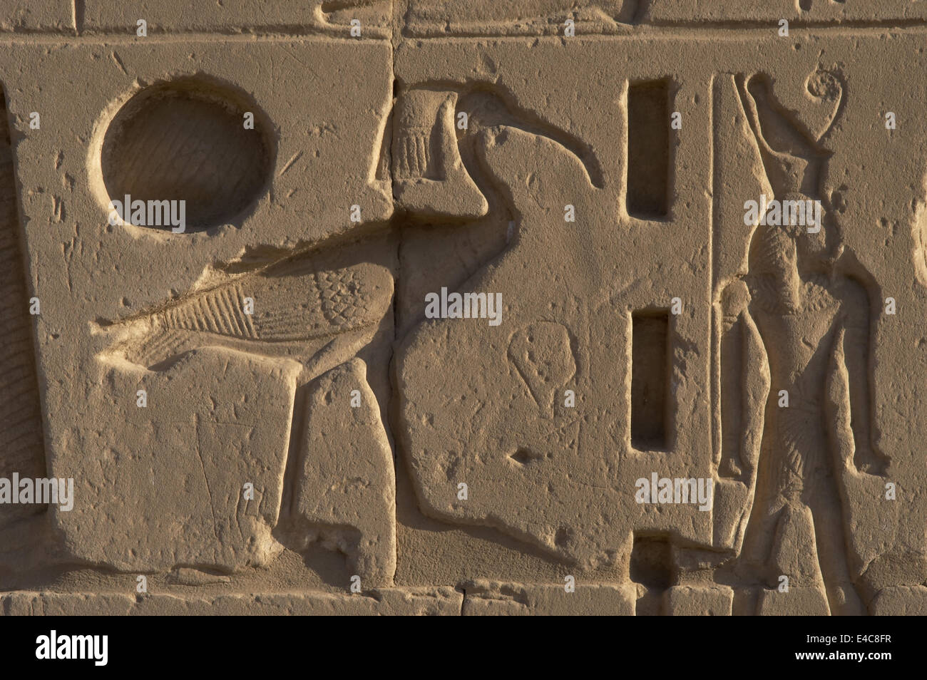 L'art égyptien Le Temple de Karnak complexe. Soulagement avec un Ibis. 19e dynastie. Nouveau Royaume. L'Égypte. Banque D'Images