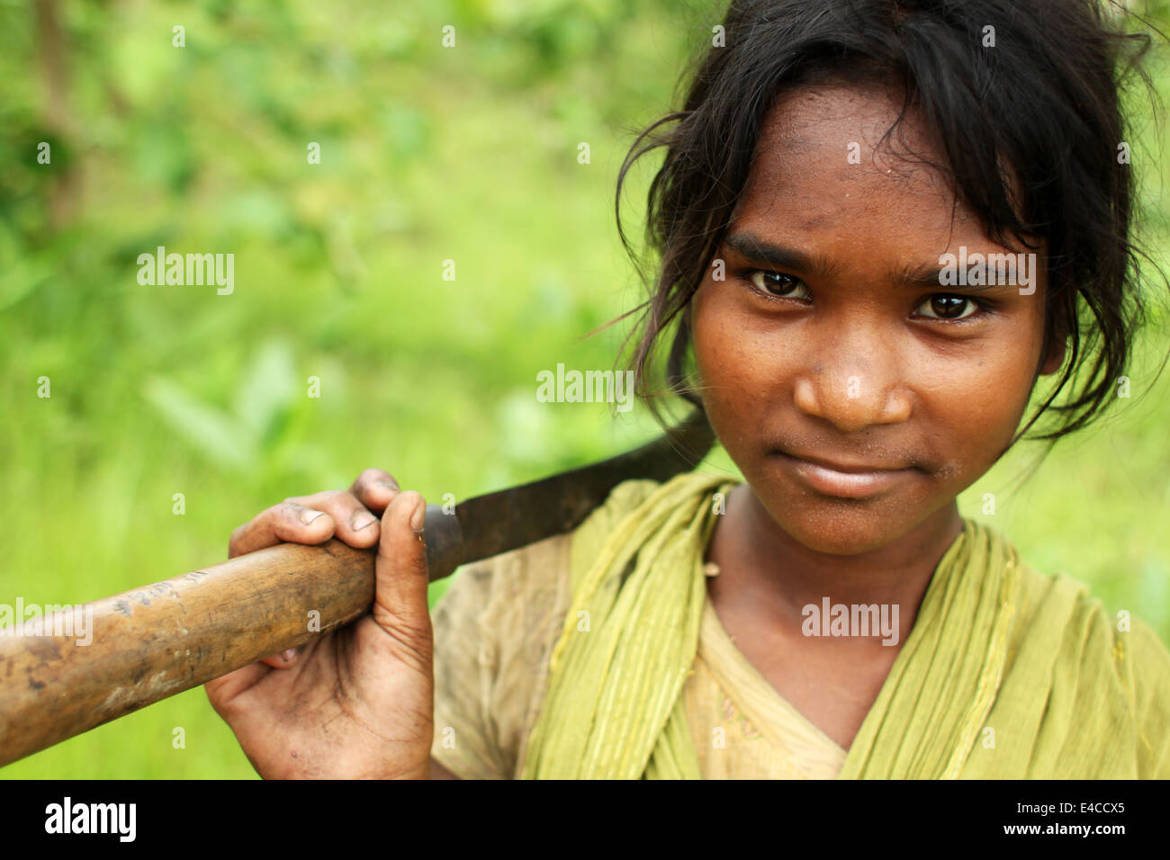 Les femmes autochtones ramasser du bois à partir de la jungle Banque D'Images