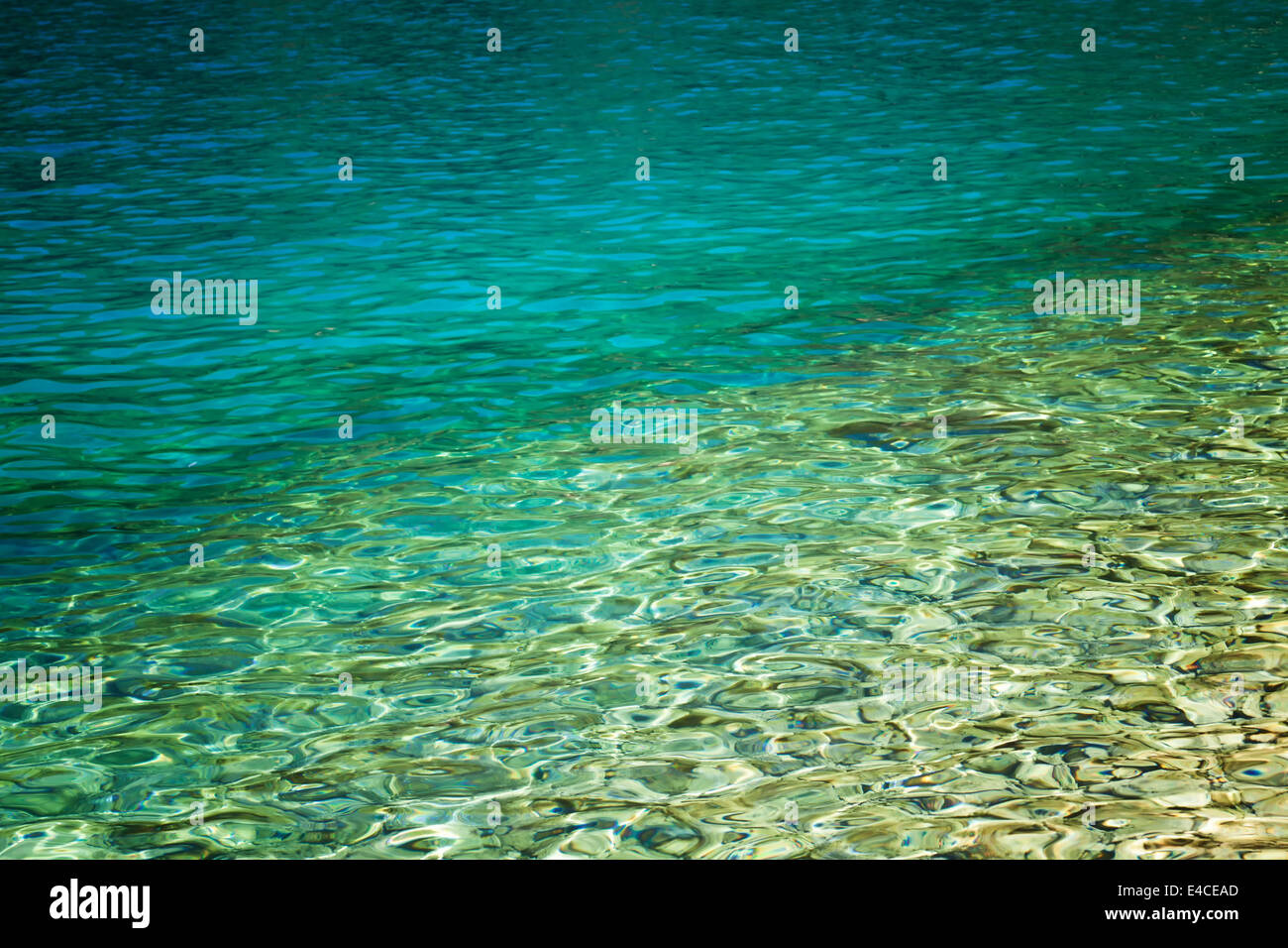 Détail de mer tropical vert Banque D'Images