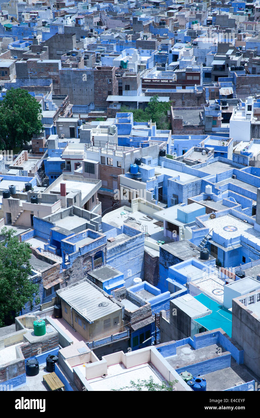 Vue sur les toits bleus de Jodhpur, Rajasthan, Rajasthan, Inde Banque D'Images