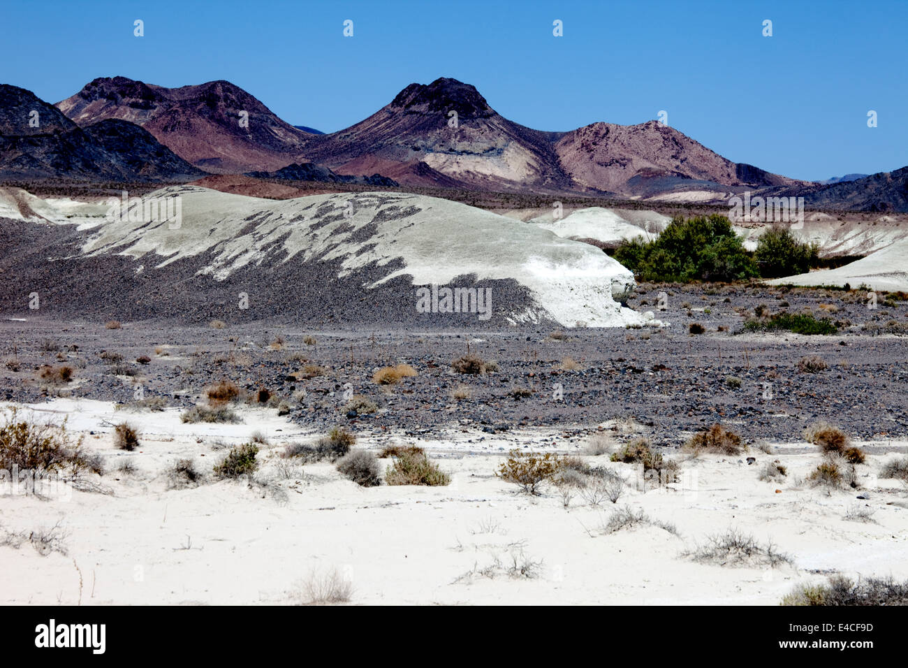 Paysage près de Shoshone près de la Death Valley, Californie, USA Banque D'Images